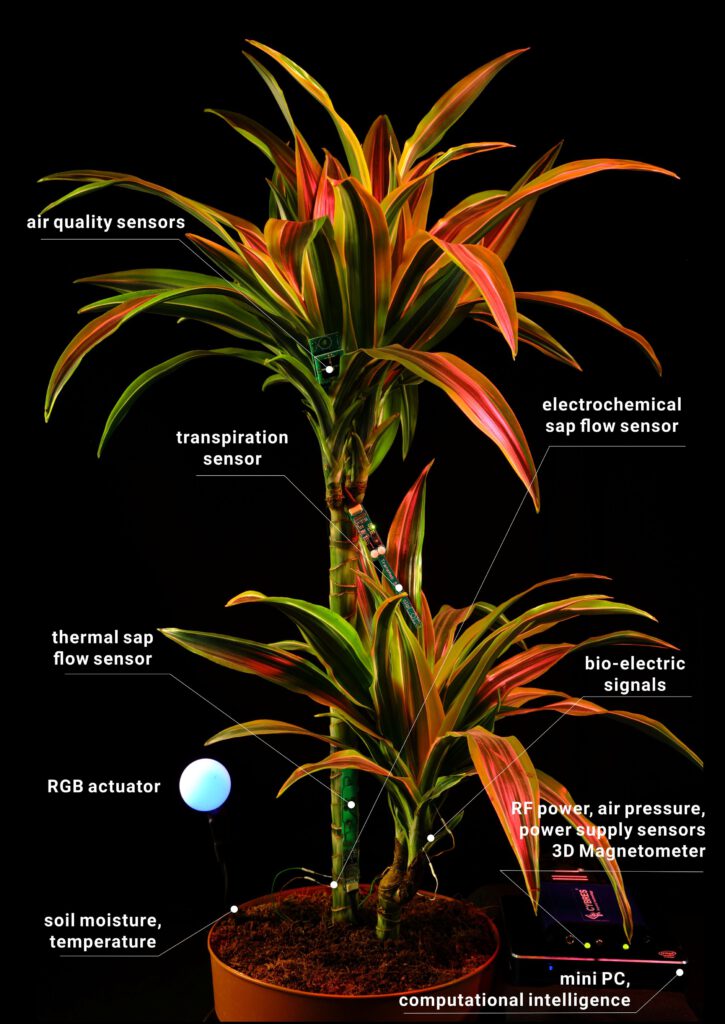 phytosensor