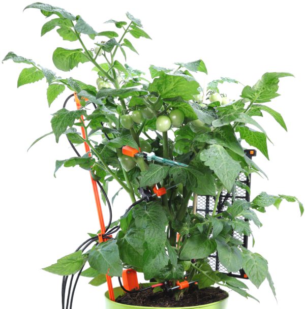 CYBRES Phytosensor "AI biolab": AI phenotyping, biosensors, stress detection, monitoring plant physiology