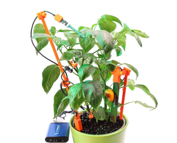 CYBRES Phytosensor "AI biolab": AI phenotyping, biosensors, stress detection, monitoring plant physiology - Image 9