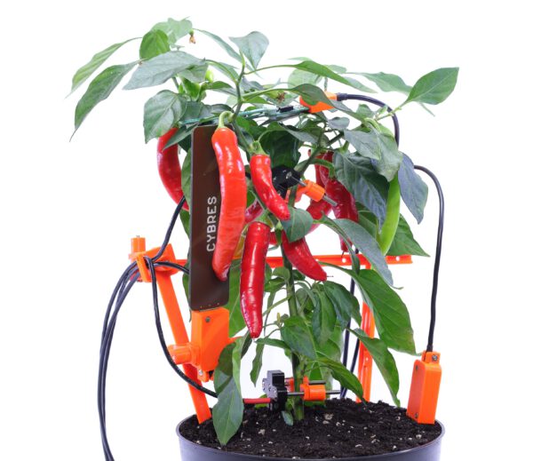 CYBRES Phytosensor "AI biolab": AI phenotyping, biosensors, stress detection, monitoring plant physiology - Image 8