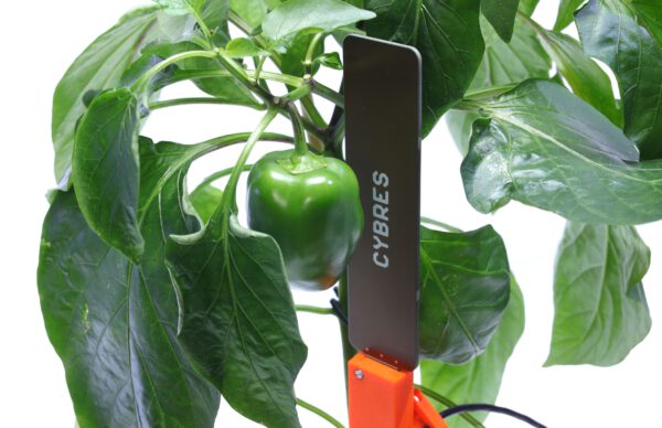 CYBRES Phytosensor "AI biolab": AI phenotyping, biosensors, stress detection, monitoring plant physiology - Image 2