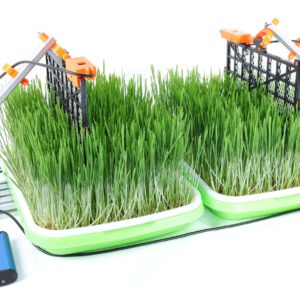 Biomass sensor: compare/monitor biomass growth
