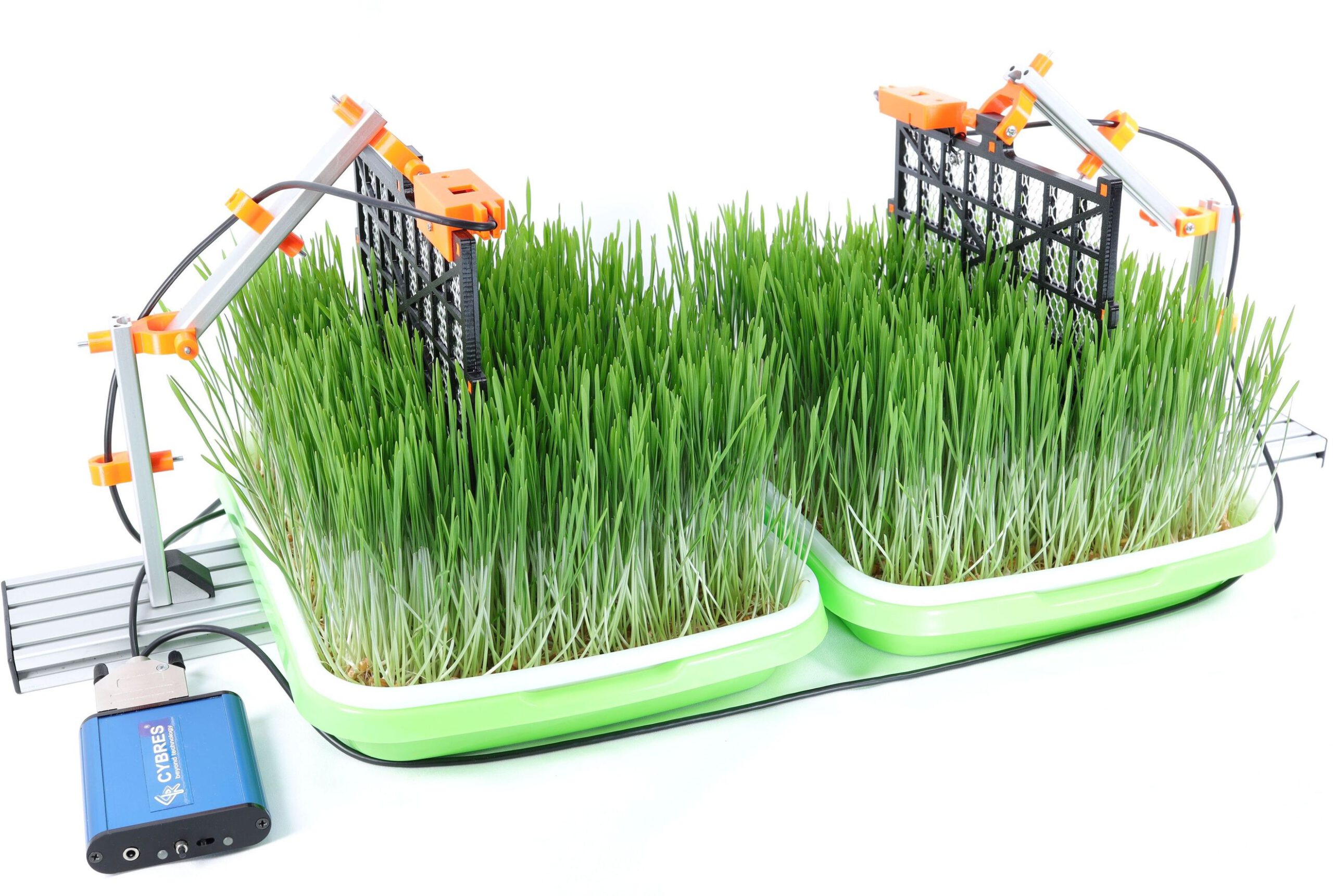 Biomass sensor: compare/monitor biomass growth