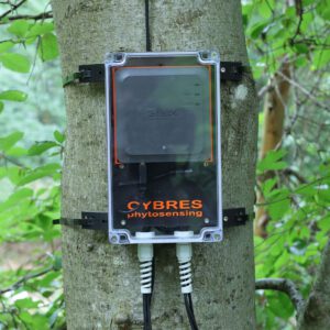 Outdoor Phytosensor for environmental monitoring and real-time plant physiology tracking